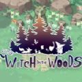 littlewitchinthewoods加速器