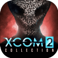 Xcom2加速器