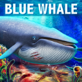 深海蓝鲸模拟加速器