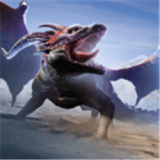 DragonMasters加速器