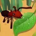 蚂蚁进化3d俘获昆虫加速器
