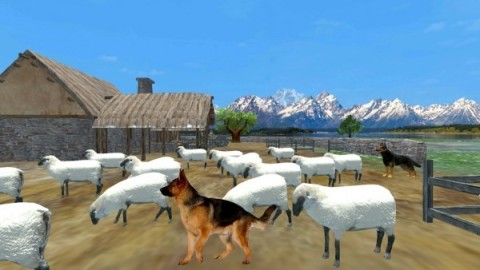 牧羊犬动物3D截图1