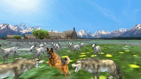 牧羊犬動(dòng)物3D截圖