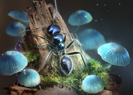 小小蚁国如何获得特化蚁 特化蚁获得方法详解