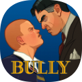 bully加速器