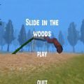 slideinthewoods