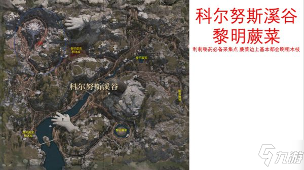 《神佑釋放》各地區(qū)采集地點(diǎn)標(biāo)注