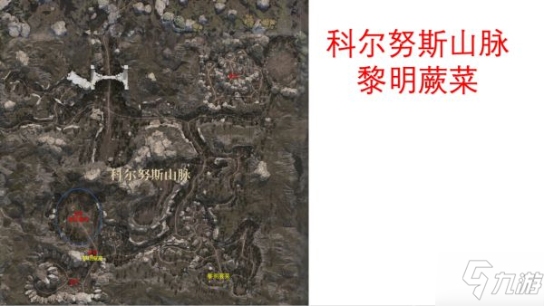 《神佑釋放》各地區(qū)采集地點(diǎn)標(biāo)注