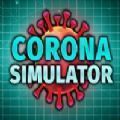 CoronaSimulator加速器
