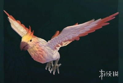 《創(chuàng)造與魔法》云斑鸚鳥位置 云斑鸚鳥刷新點介紹