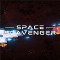 SpaceScavenger加速器