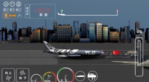 中国客机模拟截图2