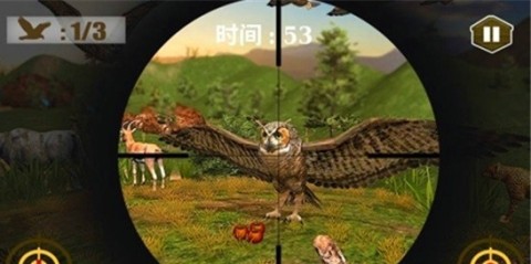 3D貓頭鷹狩獵模擬截圖1