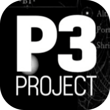 ProjectP3加速器