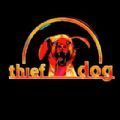 THIEFDOG加速器