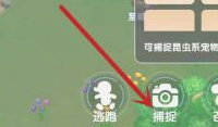 《摩尔庄园手游》精灵加点 精灵加点推荐速参考