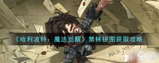 《哈利波特：魔法覺醒》禁林拼圖獲取攻略