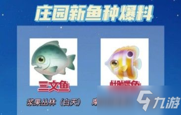摩尔庄园三文鱼在哪钓？三文鱼位置及刷新时间介绍