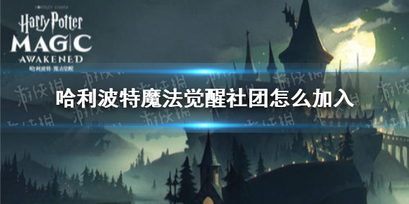 《哈利波特魔法觉醒》社团怎么加入 社团加入方法介绍