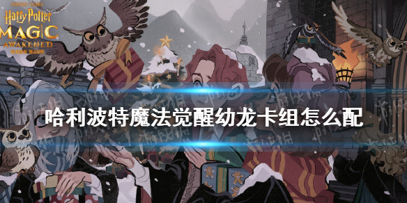 《哈利波特魔法觉醒》幼龙卡组搭配哪个好 幼龙卡组如何配