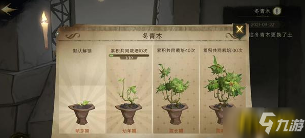 哈利波特魔法觉醒冬青木盆栽在哪-冬青木盆栽位置一览