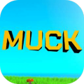 Muck加速器