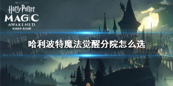 《哈利波特魔法覺醒》分院選擇方法 分院選什么