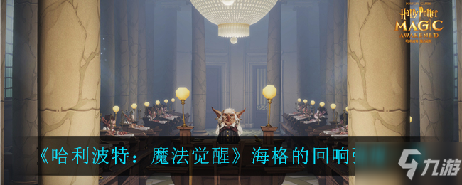 《哈利波特：魔法觉醒》海格的回响强度介绍