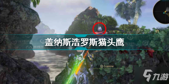 《破晓传说》盖纳斯浩罗斯猫头鹰位置全介绍 盖纳斯浩罗斯猫头鹰在哪里