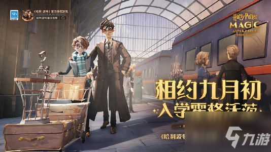 《哈利波特魔法觉醒》游戏闪退怎么解决 上线闪退解决方式截图
