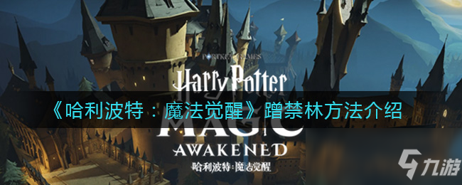 《哈利波特：魔法觉醒》蓝白卡组攻略
