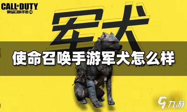 使命召喚手游軍犬怎么樣 終極技能軍犬介紹