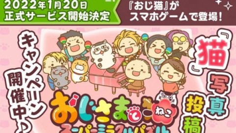 大叔与猫超奇迹拼图截图1