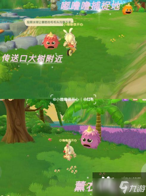 摩尔庄园凯文老师的特训攻略大全 凯文老师的特训任务攻略汇总