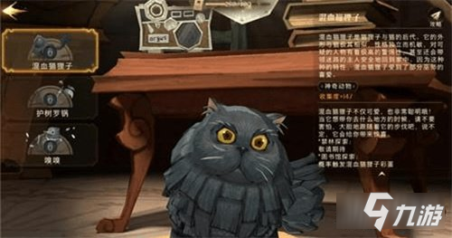 哈利波特魔法觉醒魁地奇飞天扫帚详细攻略