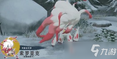 宝可梦传说阿尔宙斯售卖价格多少 售卖价格