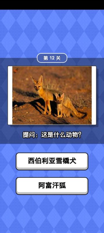 動物滑滑樂截圖4