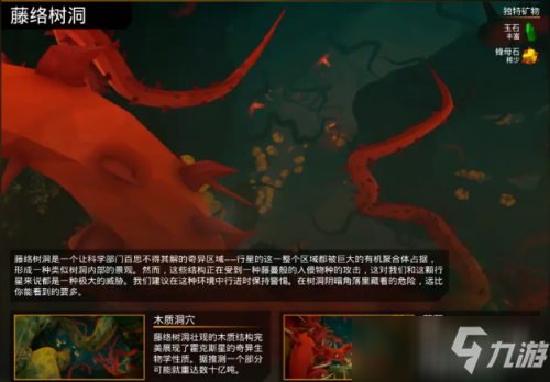 深岩银河藤络树洞特色介绍