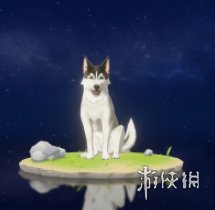 《原神手游》北地犬图鉴 北地犬能捉吗