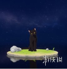 《原神手游》黑猫图鉴 黑猫在哪