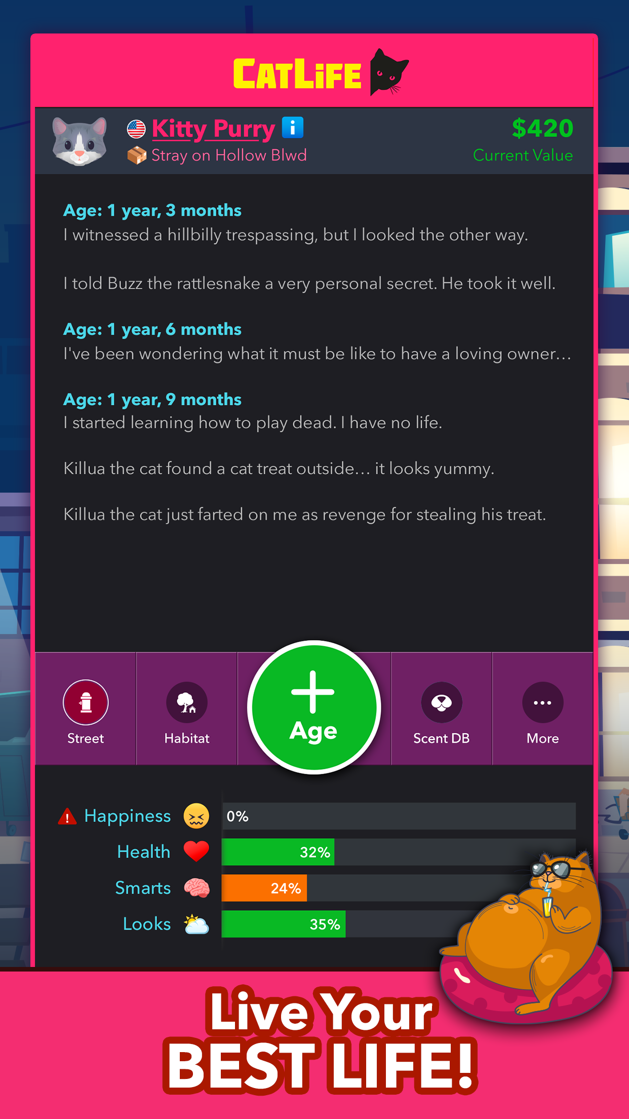 CatLifeBitLifeCats好玩吗 CatLifeBitLifeCats玩法简介