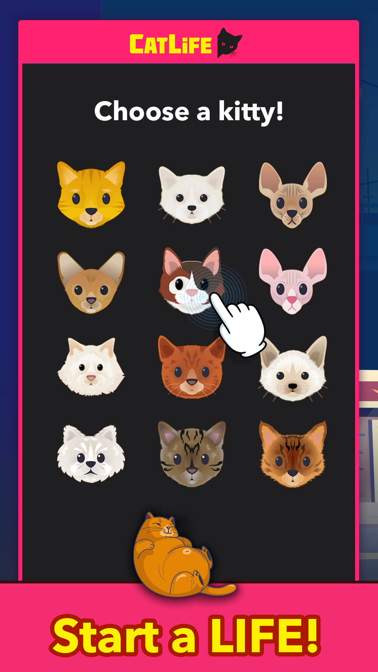 CatLifeBitLifeCats好玩吗 CatLifeBitLifeCats玩法简介