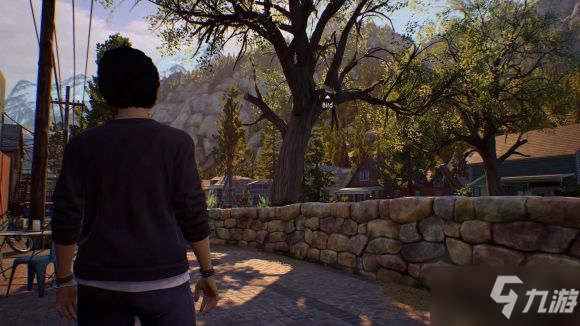 奇异人生3LifeIsStrange3收集要素与选择攻略