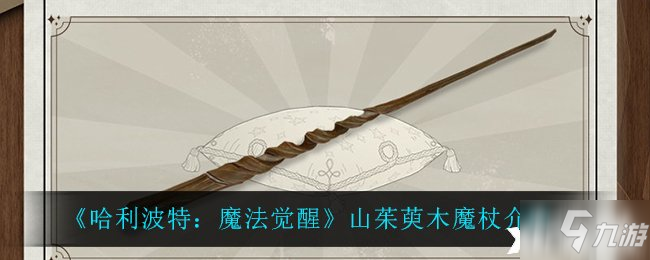 《哈利波特：魔法覺醒》山茱萸木魔杖介紹