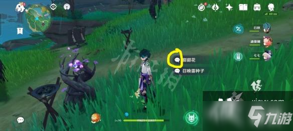 《原神》骗骗花怎么辨别？骗骗花辨别方法介绍