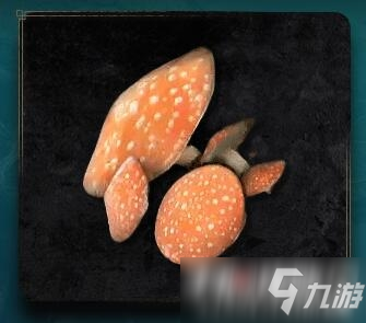 《艾尔登法环》蘑菇怎么获得