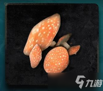 艾尔登法环蘑菇获得方法