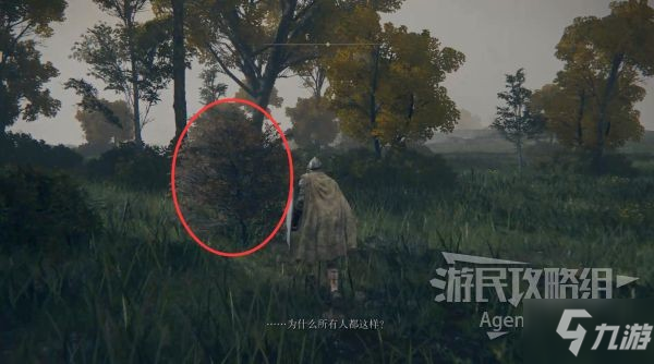 《艾尔登法环》初期隐藏NPC及关键隐藏地点汇总
