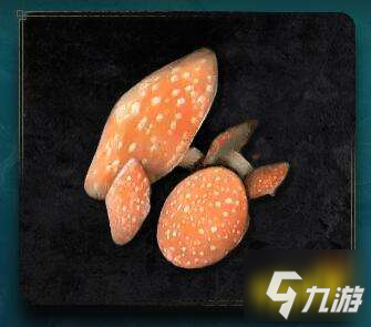 艾尔登法环蘑菇怎么获得 蘑菇获得方法