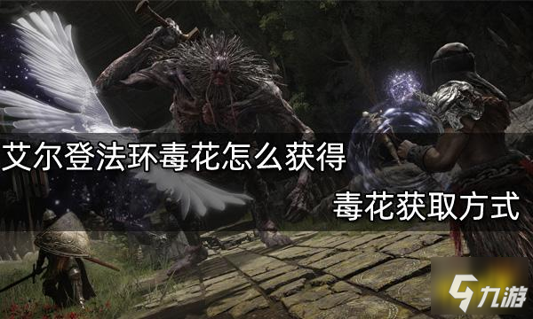 艾尔登法环毒花怎么获得 毒花获取方式